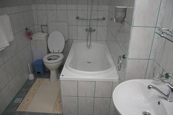 ホテル Pensiunea Turistica Delmonte Holiday シナヤ 部屋 写真
